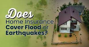 Home Insurance with Flood